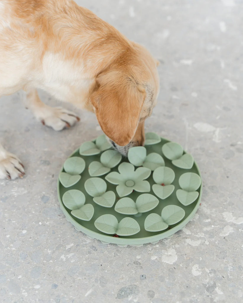 Dexypaws - Sage Green Silicone Snuffle Mat in Sage