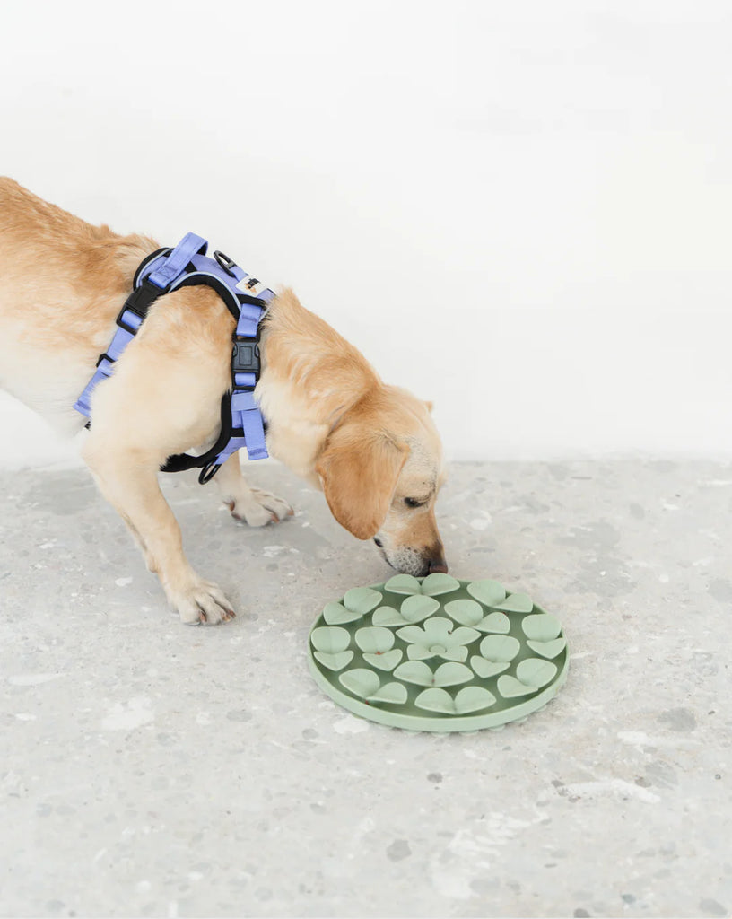 Dexypaws - Sage Green Silicone Snuffle Mat in Sage