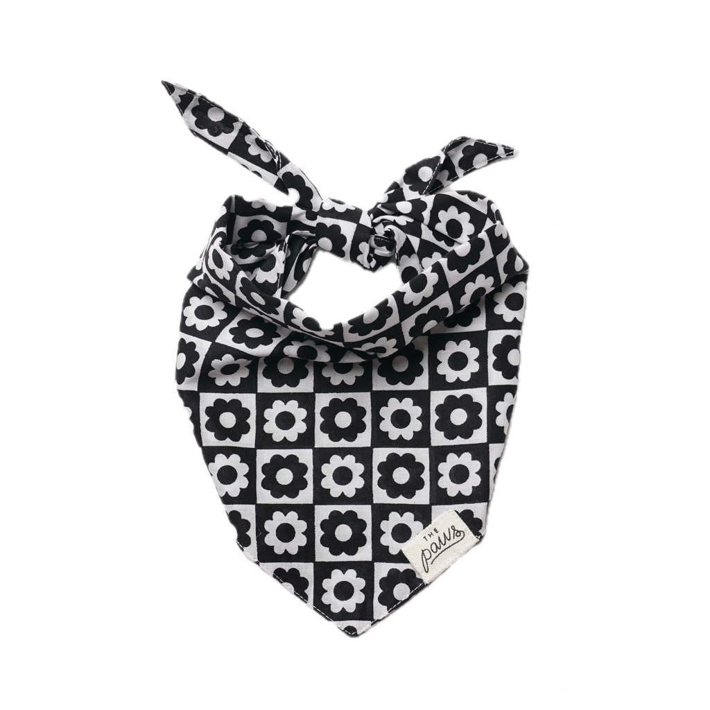 The Paws Bandana - Tux Flower Checkers