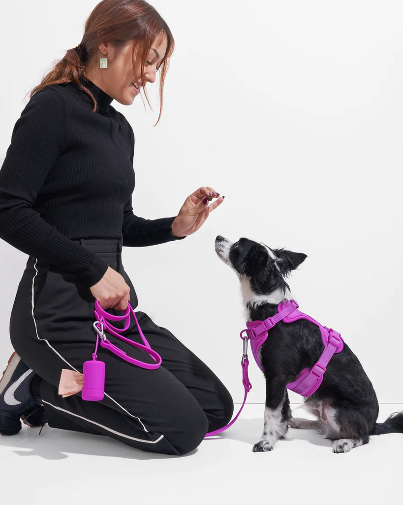 Wild One - Poop Bag Carrier Orchid