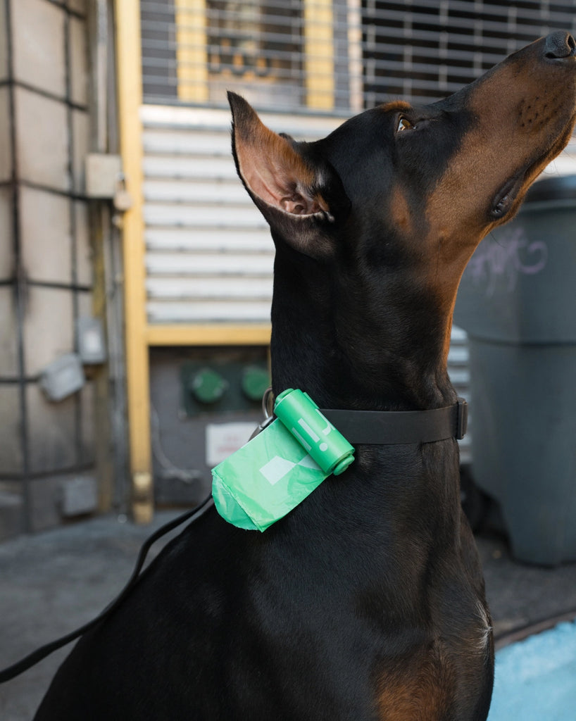 Springer Pets Poop Bag Dispenser
