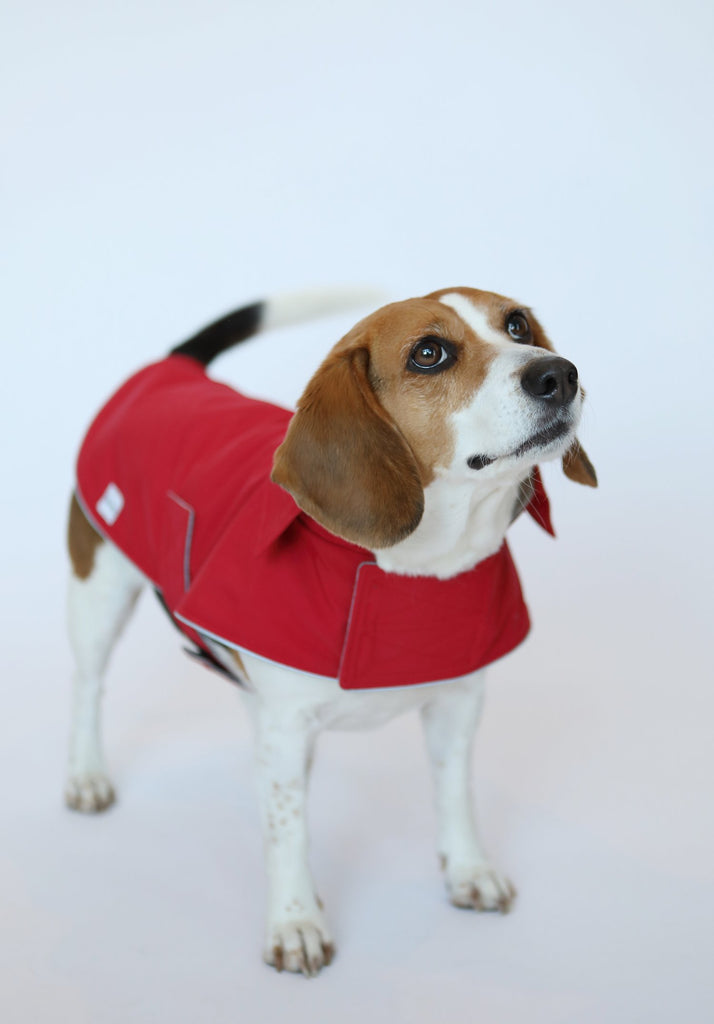 Working Dog Rain Jacket - Red