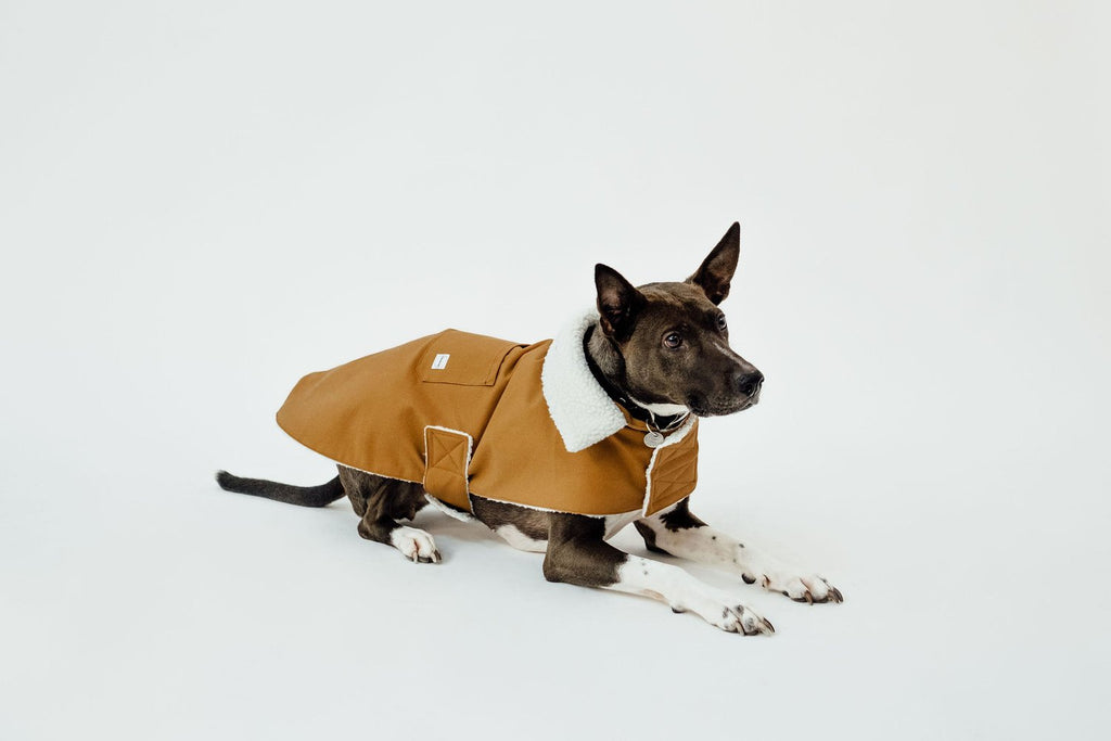 Working Dog Fleece Coat - Tan (Size M Left)