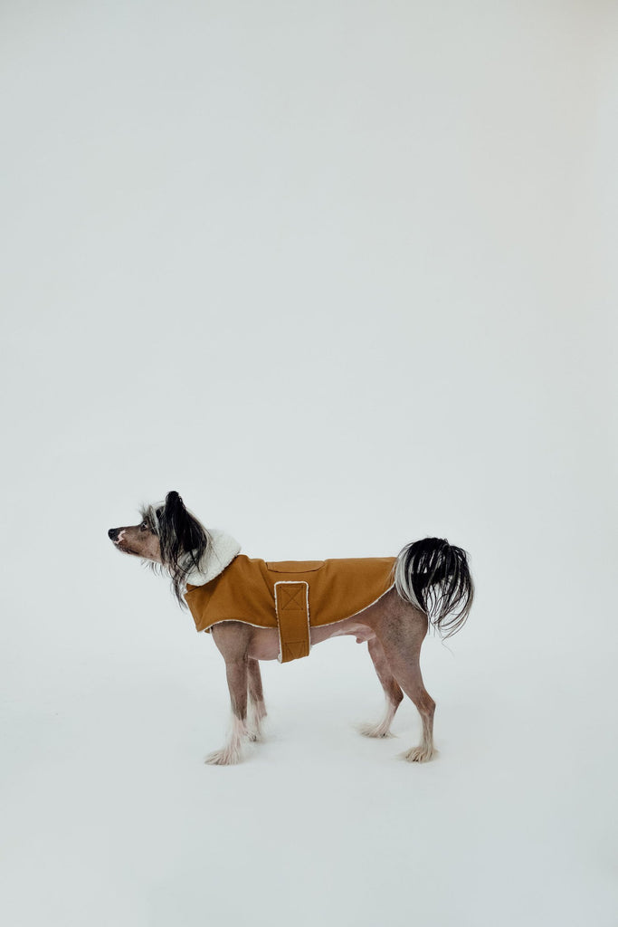 Working Dog Fleece Coat - Tan (Size M Left)