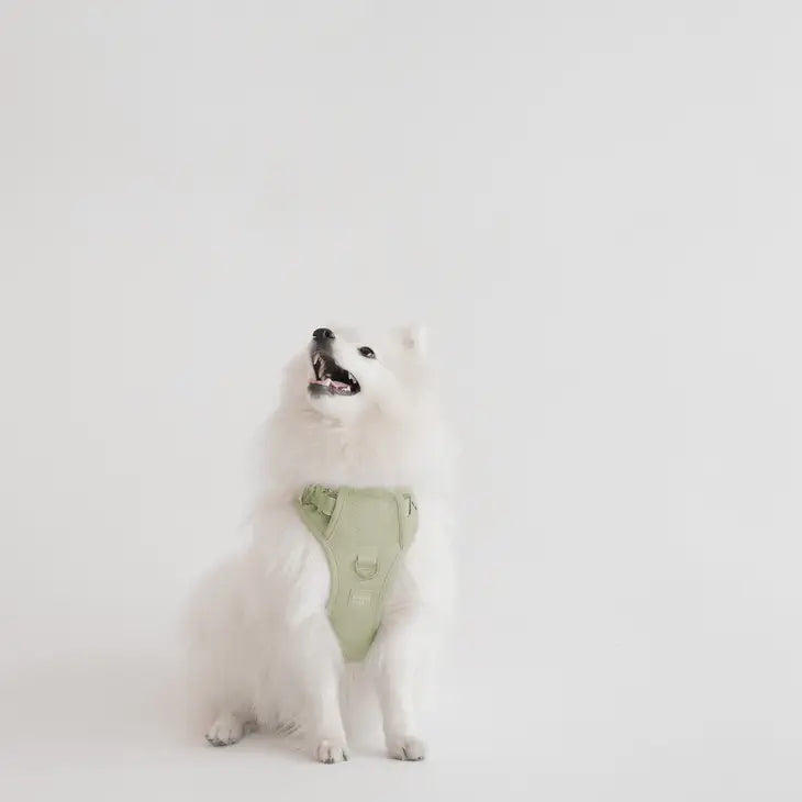 Peachy Dogs Classic Harness - Matcha