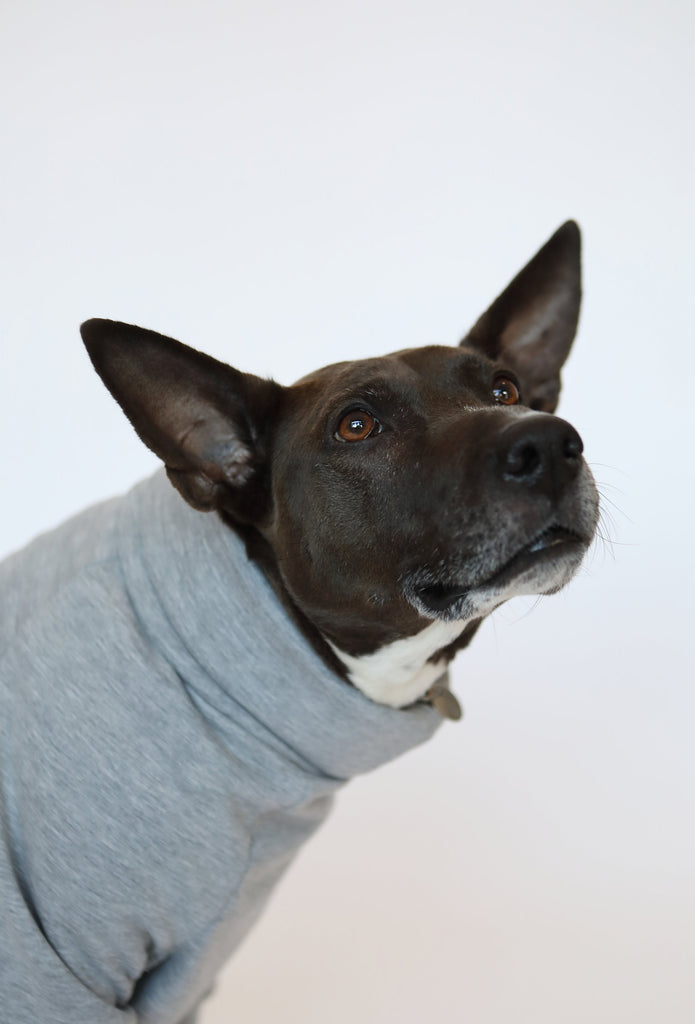 Working Dog Bluto Sweatshirt - Grey
