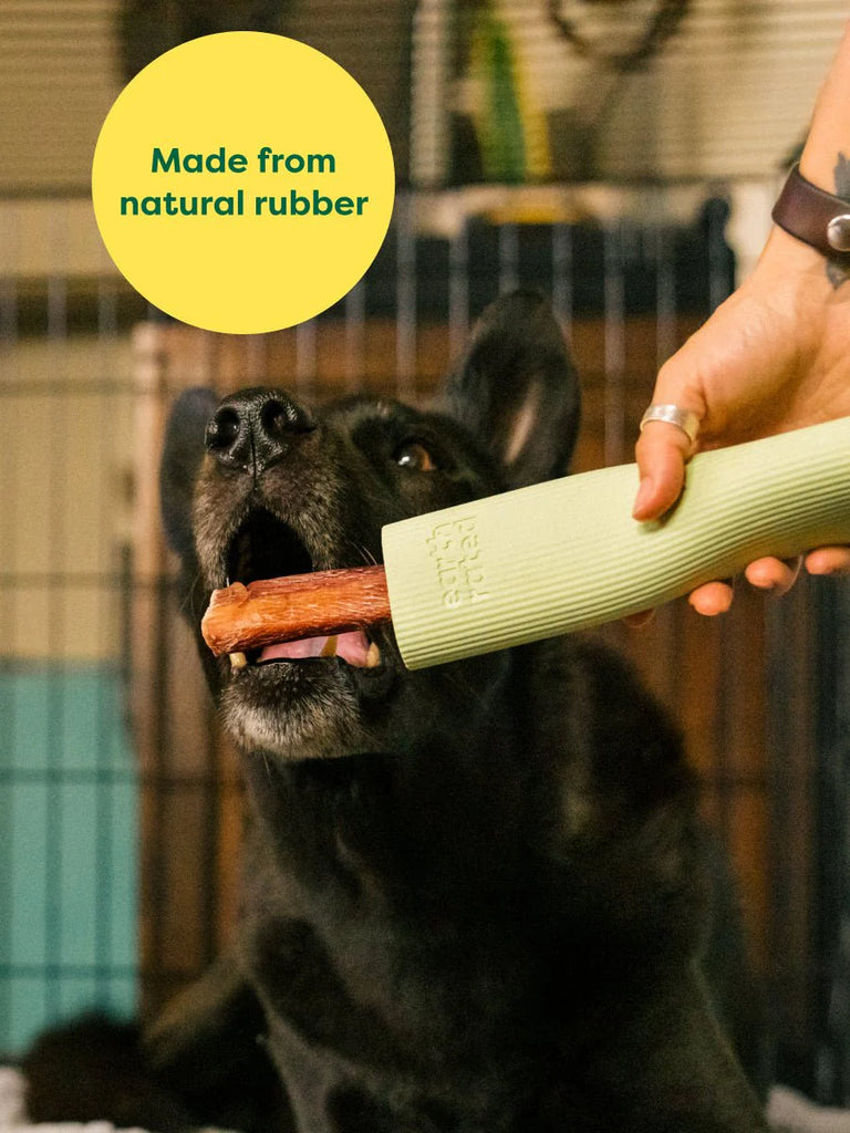 Earth Rated Enrichment Rubber Toy