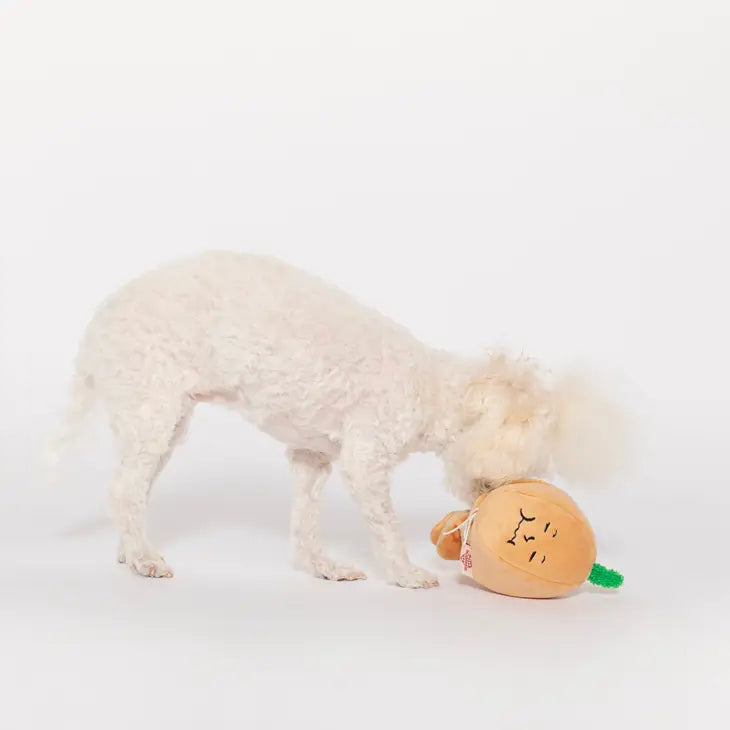 The Furryfolks - Yellow Onion Nosework Toy