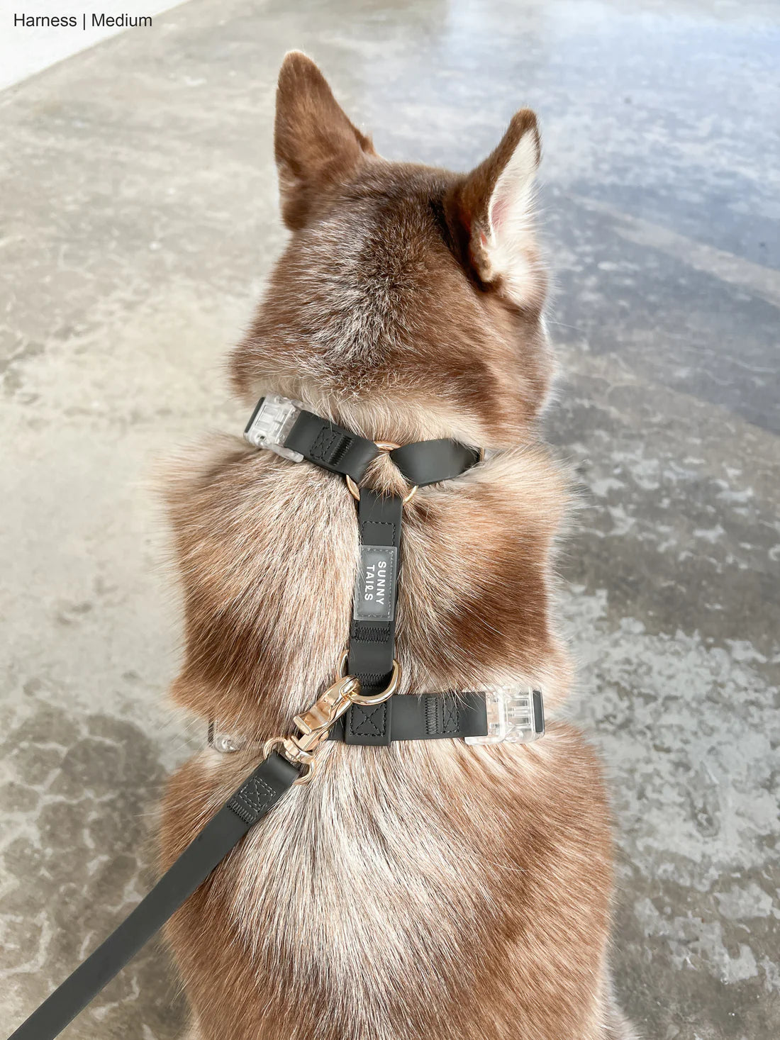 Good boy dog harness outlet