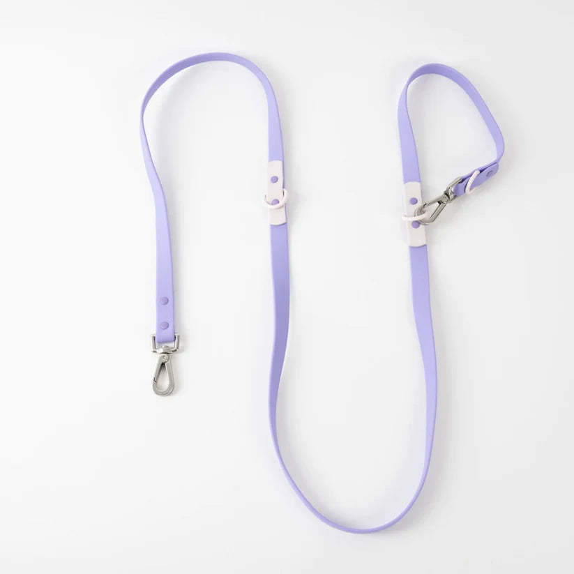 Approved by Fritz - Lilac/Grey Leash