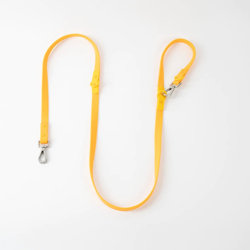 Approved by Fritz - Orange/Yellow Leash