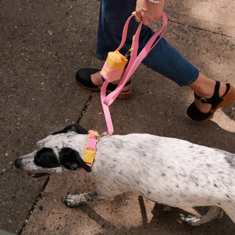 Approved by Fritz - Pink/Yellow Leash
