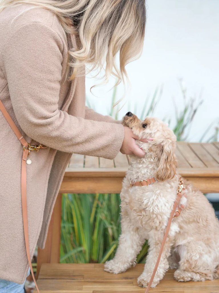 Sunny Tails 4-in-1 Hands Free Leash - Chai