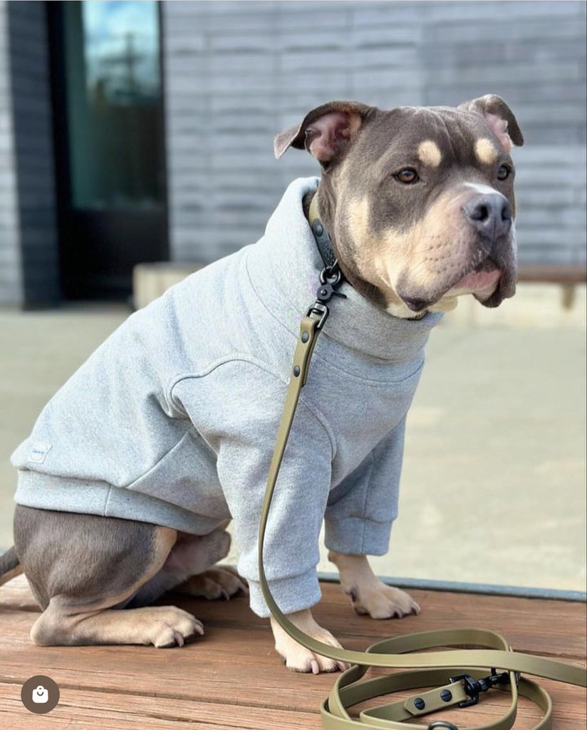 Working Dog Bluto Sweatshirt - Grey