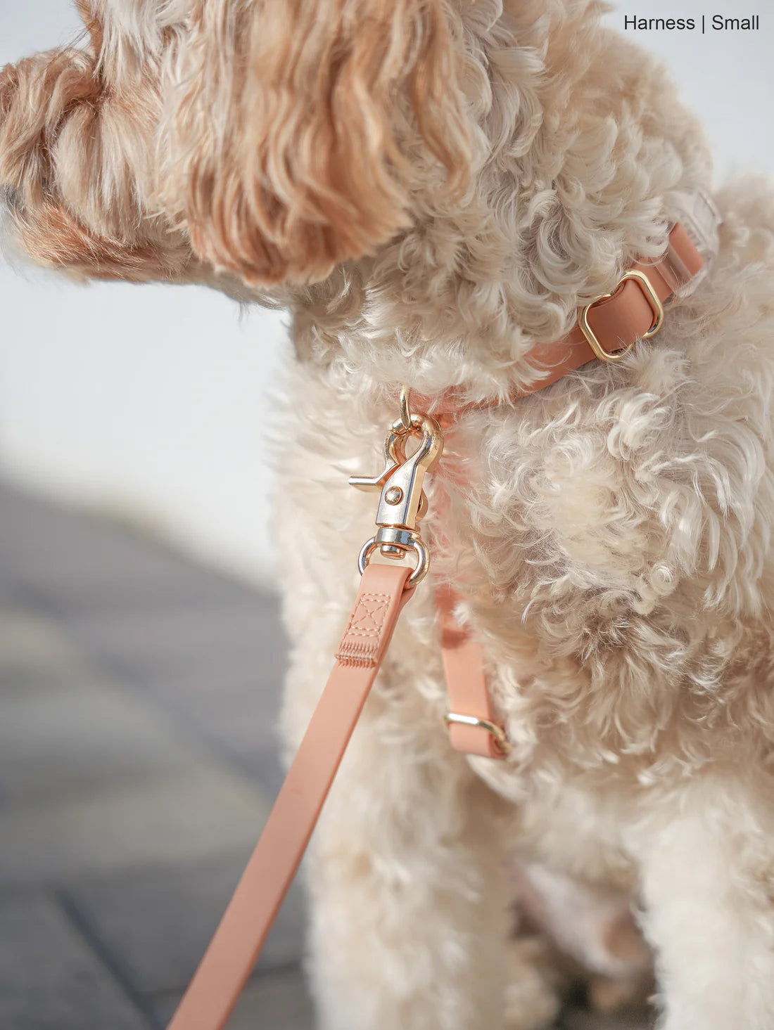 Sunny Tails Waterproof Harness Chai Good Boy Collective