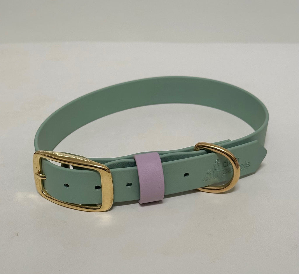 Dog People One Of A Kind Collars - Biothane Sage Collars (Assorted Styles)