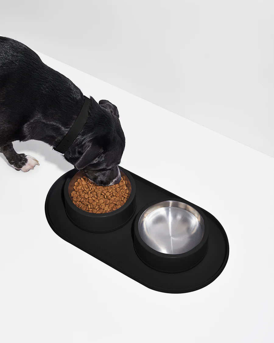 Dog dish placemat outlet