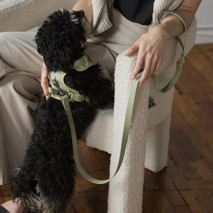 Peachy Dogs Classic Harness - Matcha