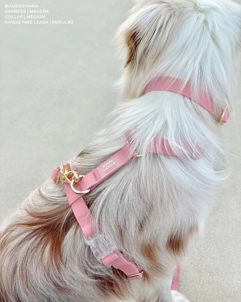 Sunny Tails Waterproof Harness - Perfect Pink