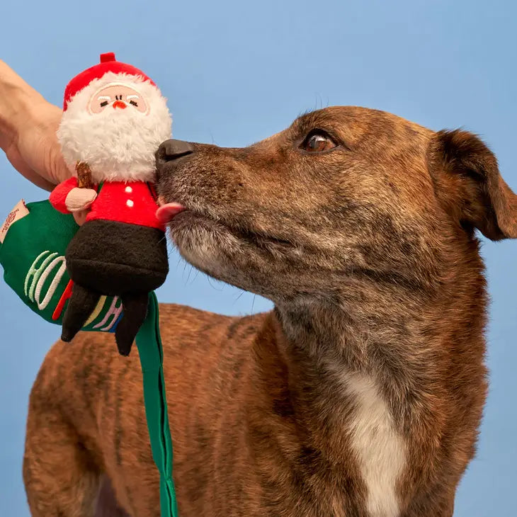 the furryfolks - Cherry Tomato Nosework & Tug Toy