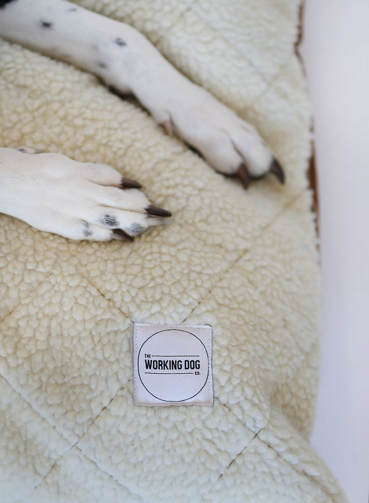 ONLINE ONLY: The Jobsite Bed by the Working Dog Co - Cozy Edition