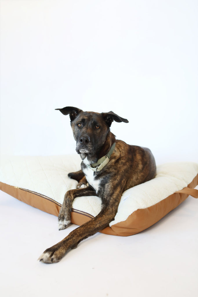 ONLINE ONLY: The Jobsite Bed by the Working Dog Co - Cozy Edition
