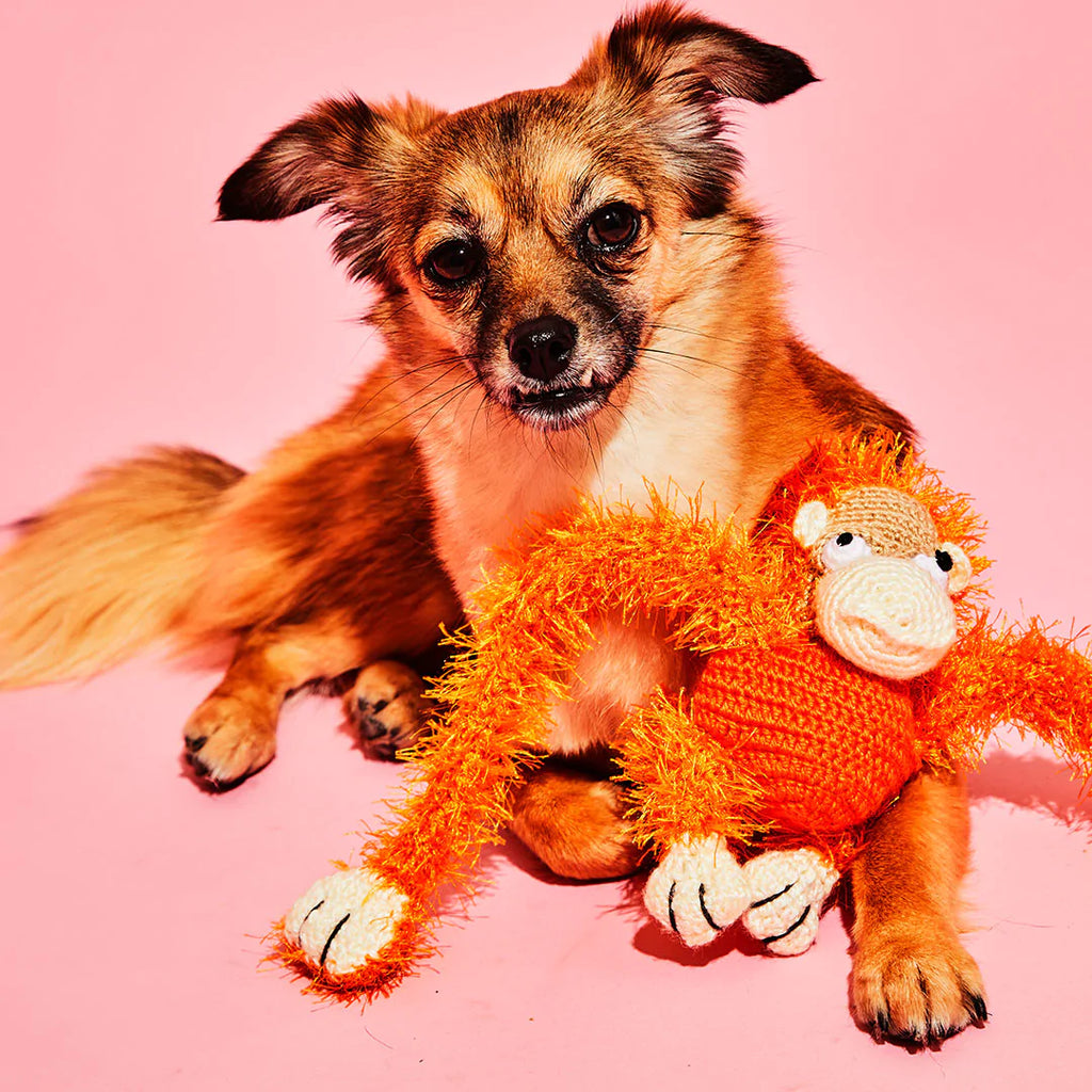Ware of the Dog Crochet Monkey