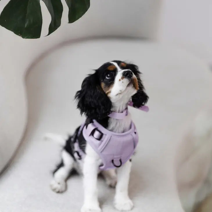 Peachy Dogs Classic Harness - Lilac