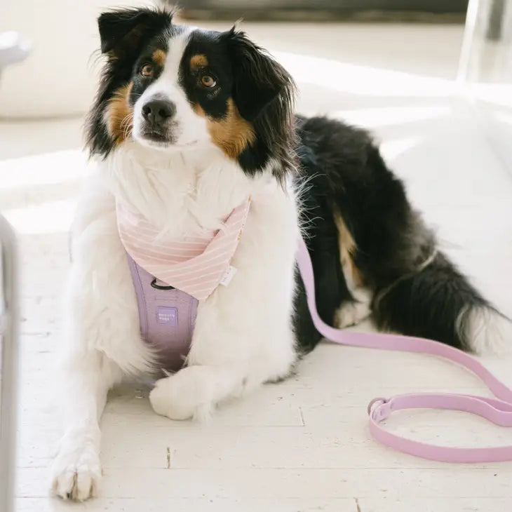 Peachy Dogs Classic Harness - Lilac