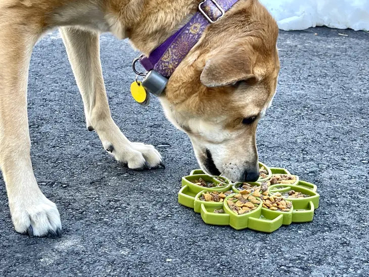 Inquisitive Good Boy Dog Slow Feeder Toy – Barks Ave