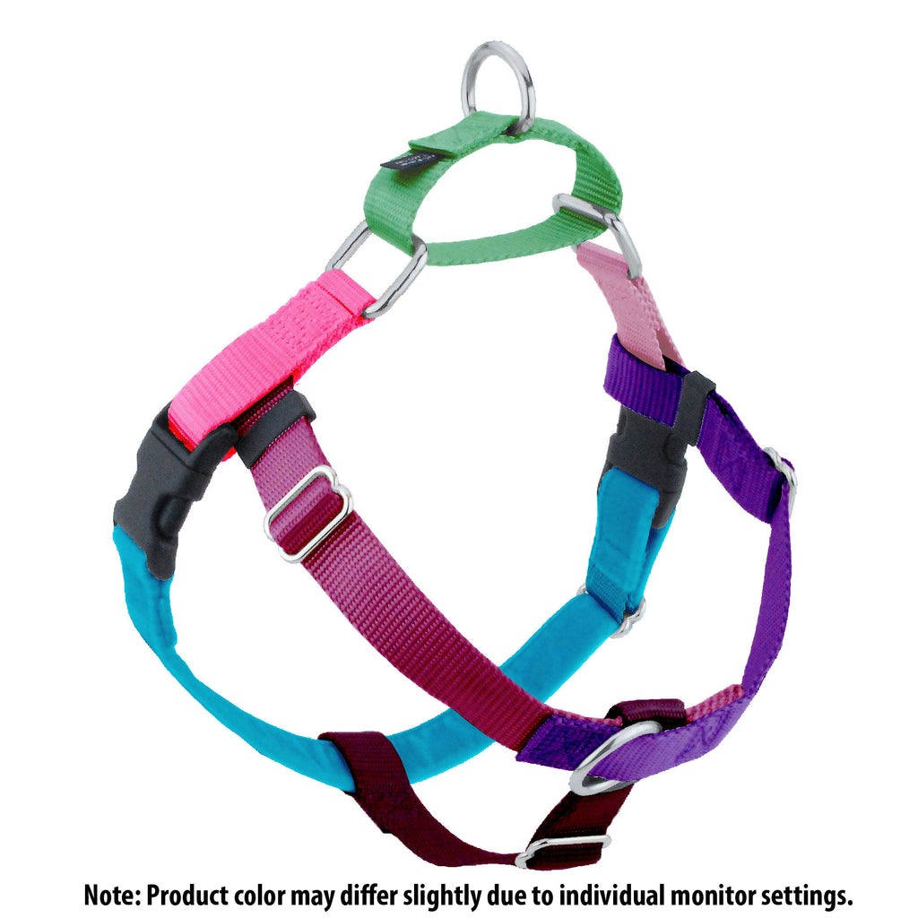 2 Hounds Design -  Freedom No Pull Harness  - Jellybean