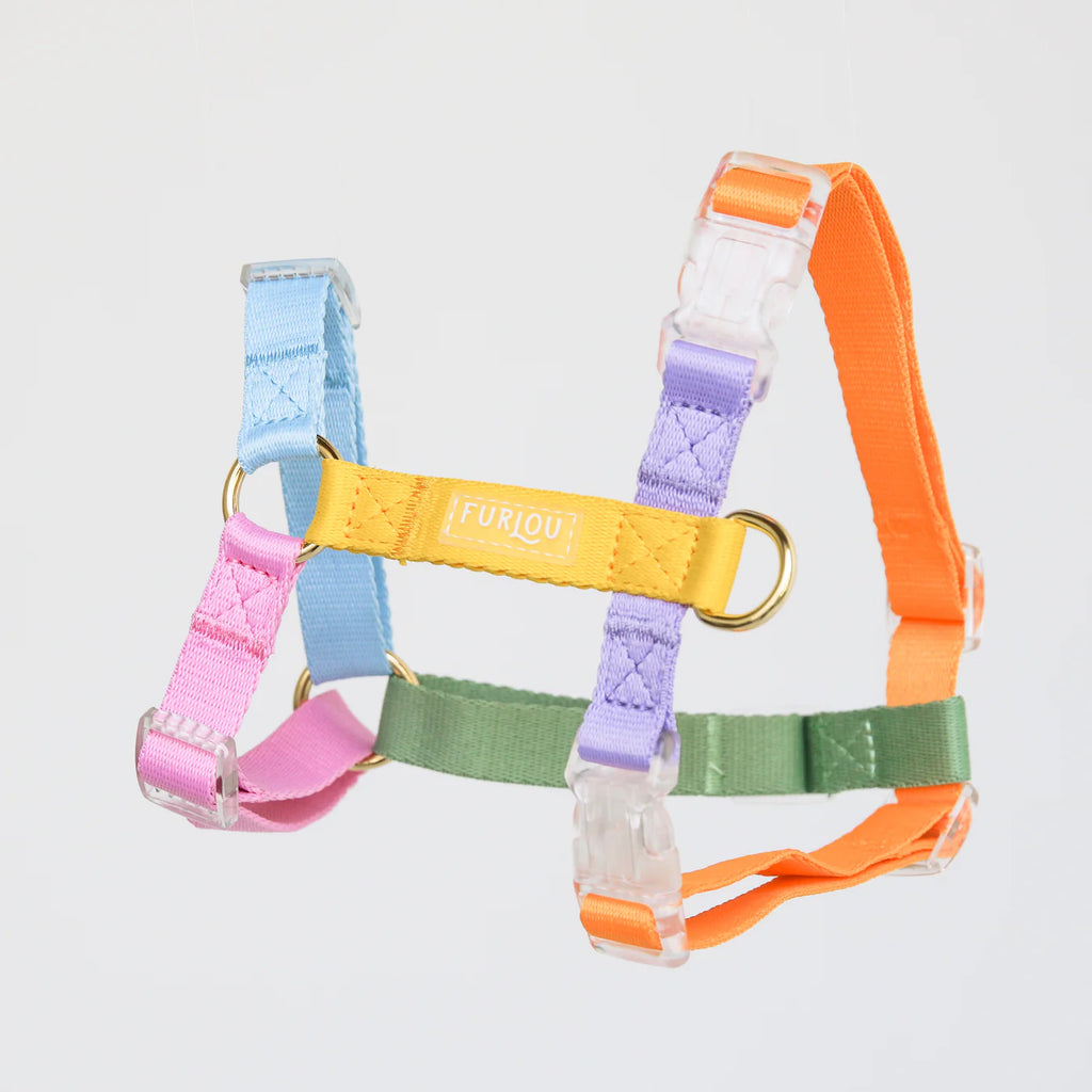Furlou Dog Harness - Rainbow