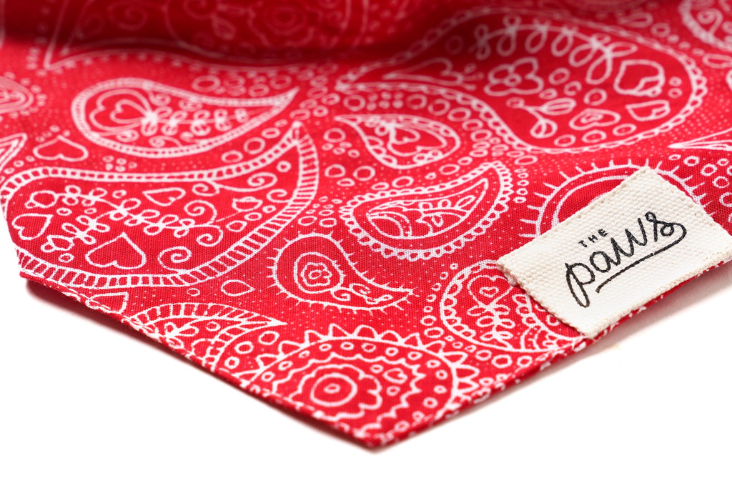 Close up of Red and white paisley print bandana