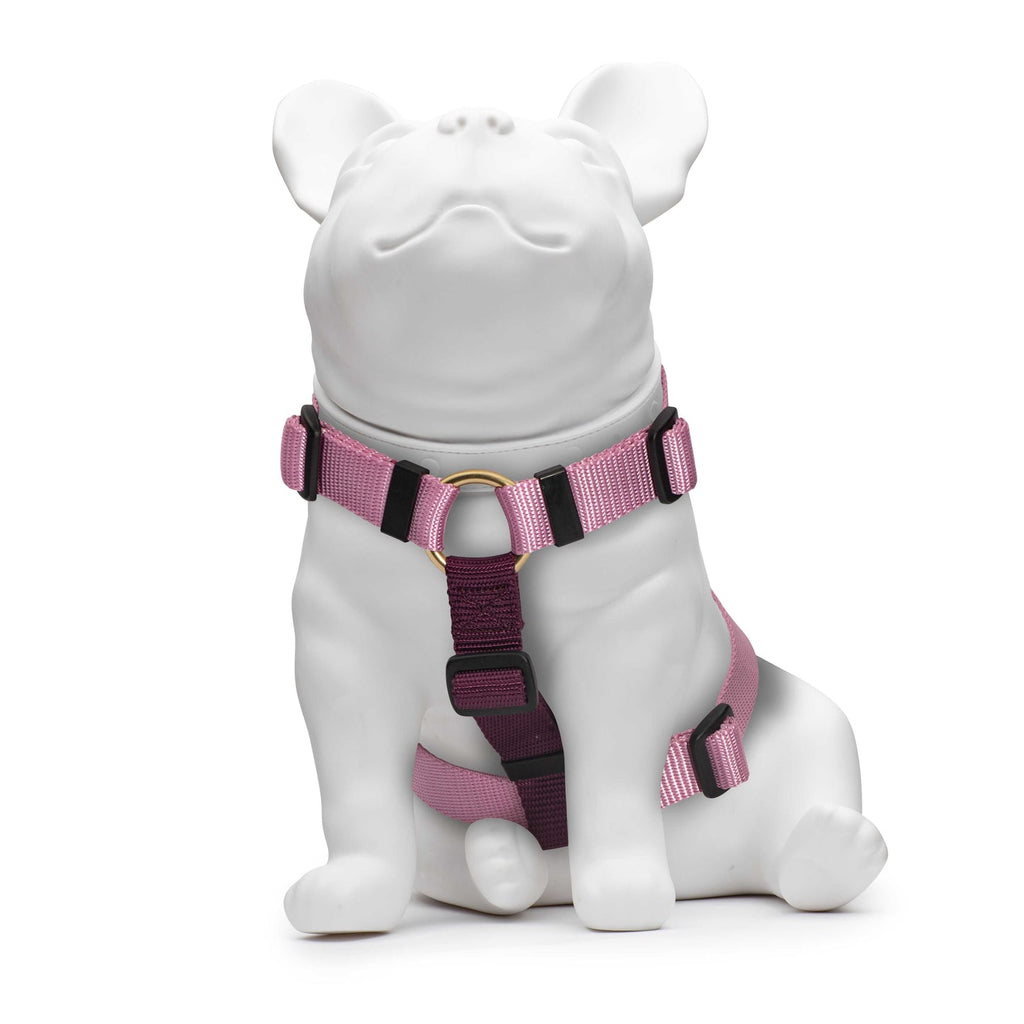 Knick Knack Paddy Whack - Harness - Rose and Purple