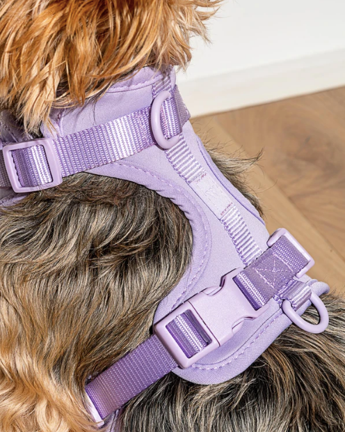 Lilac dog harness hot sale