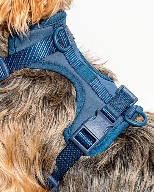 Wild One Comfort Harness Navy Good Boy Collective