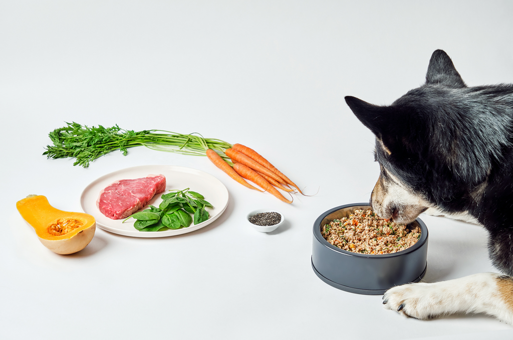 Dog Standards - Beef Recipe With Carrots (FROZEN)
