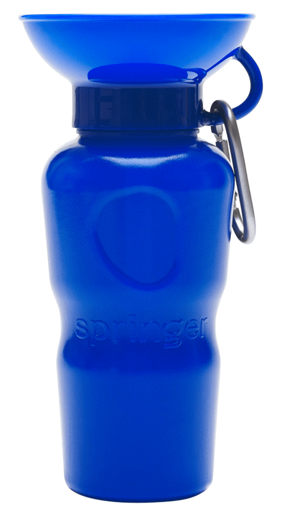 Springer Classic Travel Water Bottle (Colors)