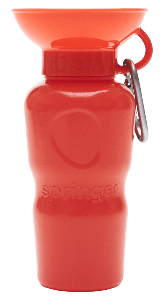 Springer Classic Travel Water Bottle (Colors)