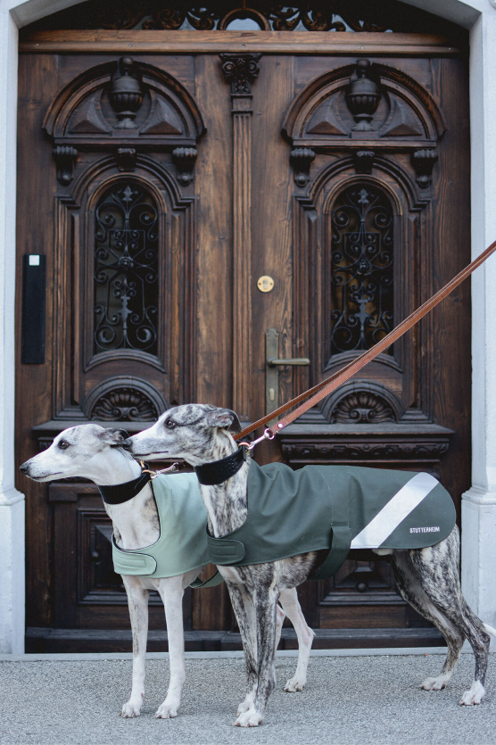 Stutterheim Dog Raincoat Dark Green Size XS and S left Good