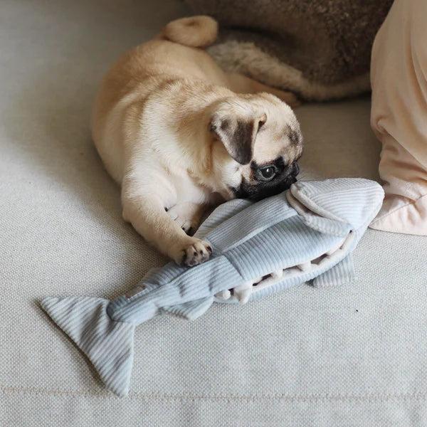 Lambwolf - Trout Enrichment Toy