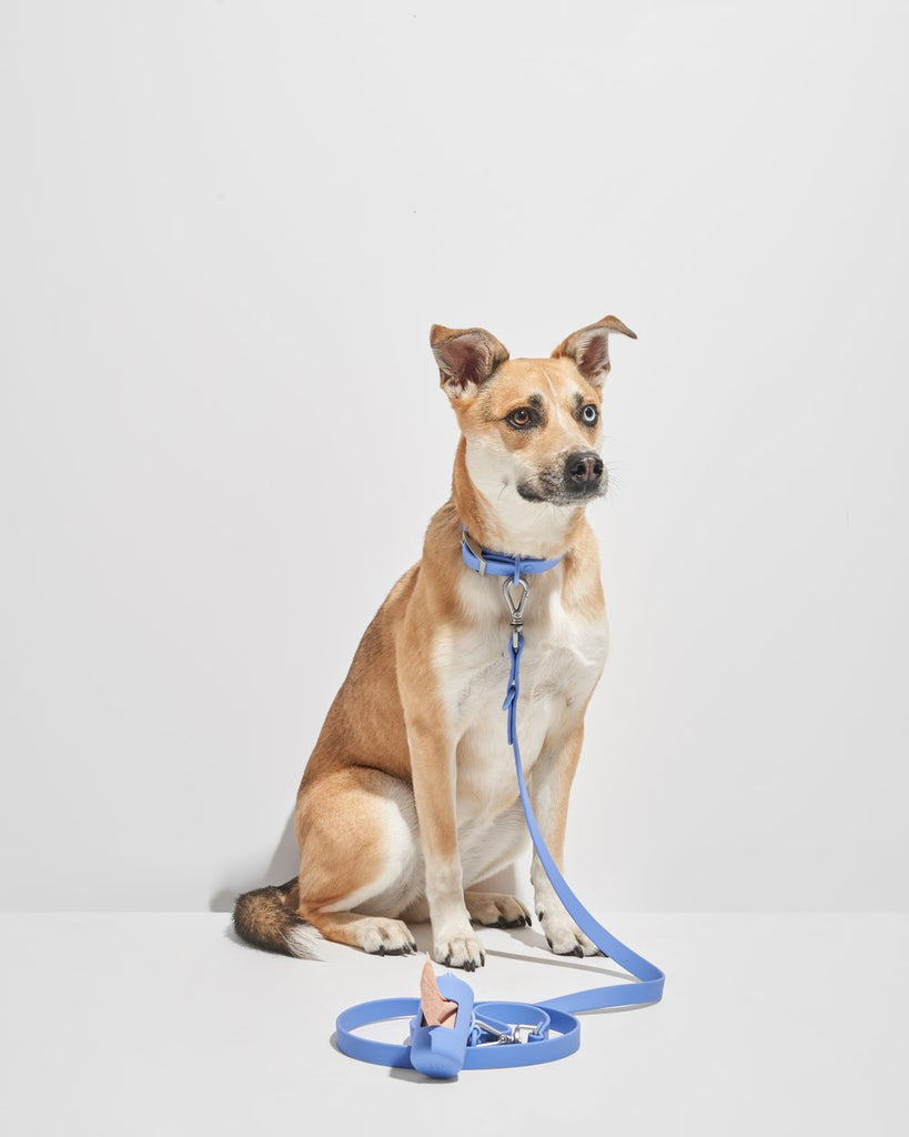 Wild One Leash - Moonstone
