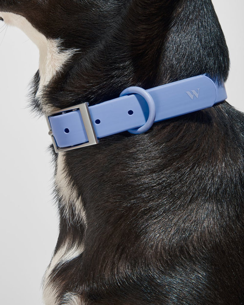 ONLINE ONLY: Wild One Collar - Moonstone