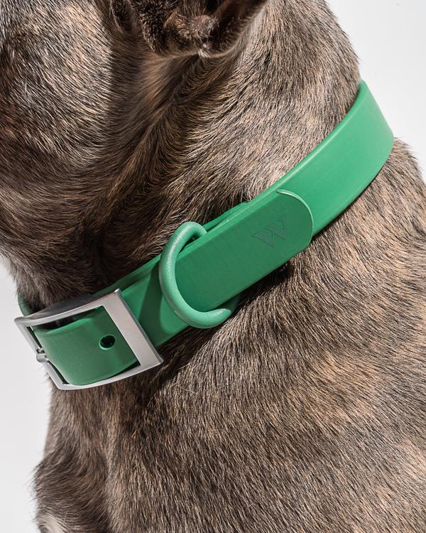 Wild One Collar Spruce Good Boy Collective