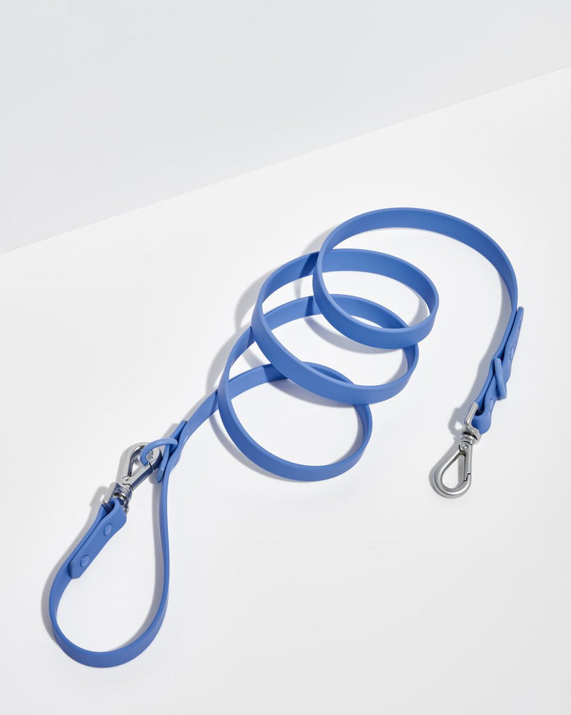 ONLINE ONLY: Wild One Leash - Moonstone
