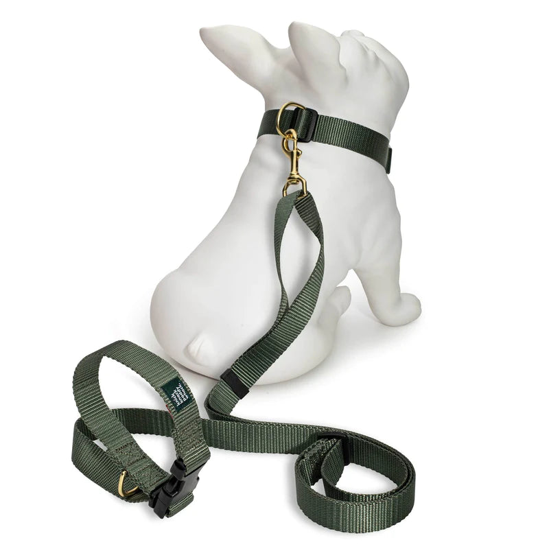 Knick Knack Paddy Whack - Adjustable Hands Free Leash - Olive