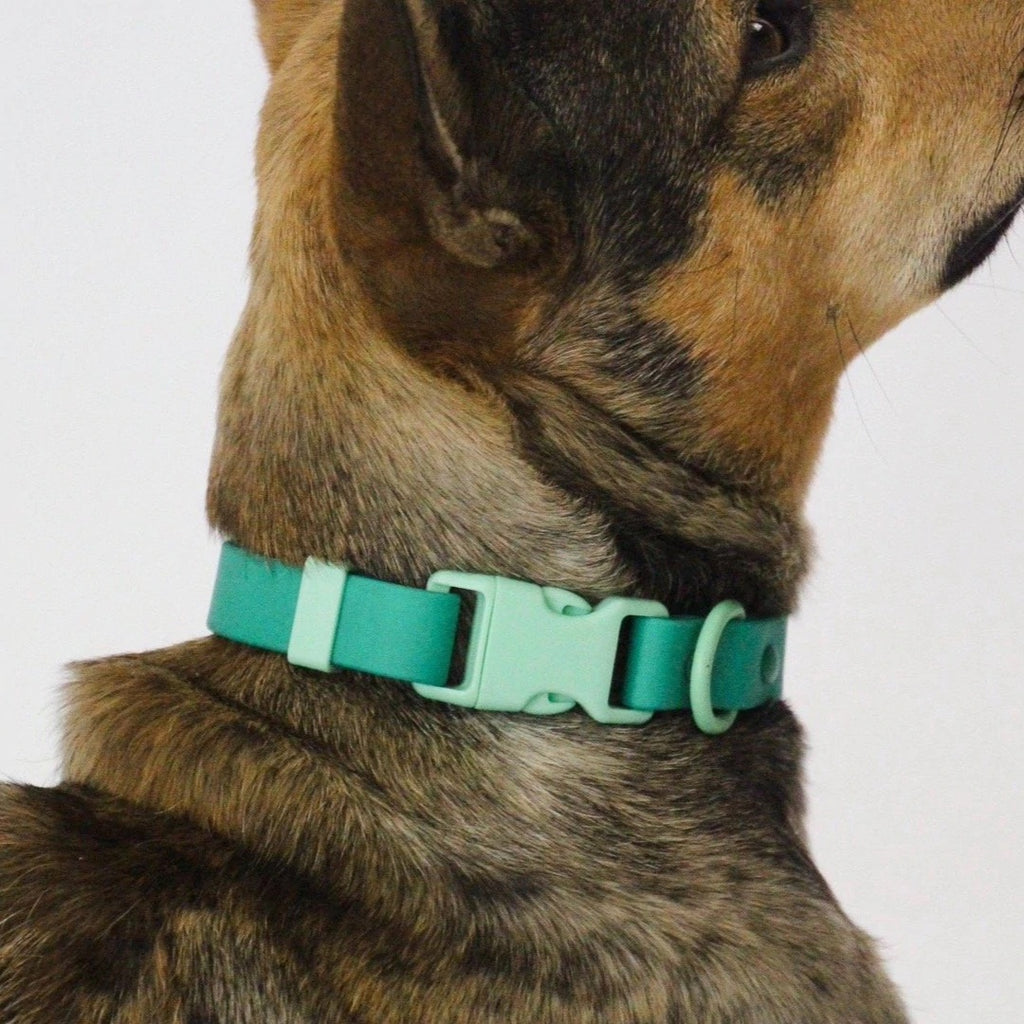 Approved by Fritz - Green Collar