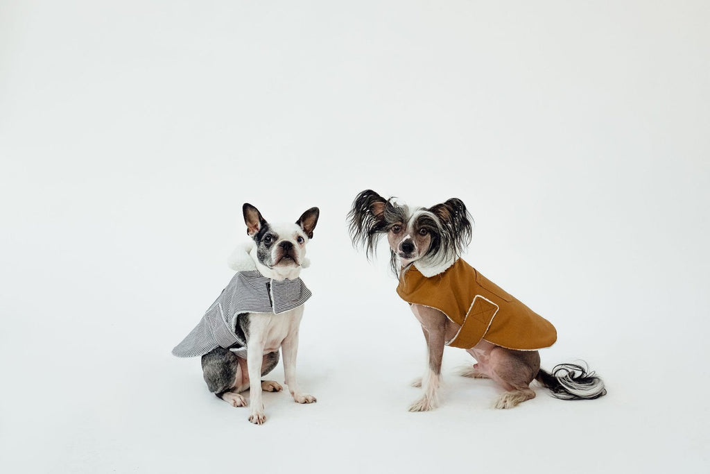 ONLINE ONLY: Working Dog Fleece Coat - Tan