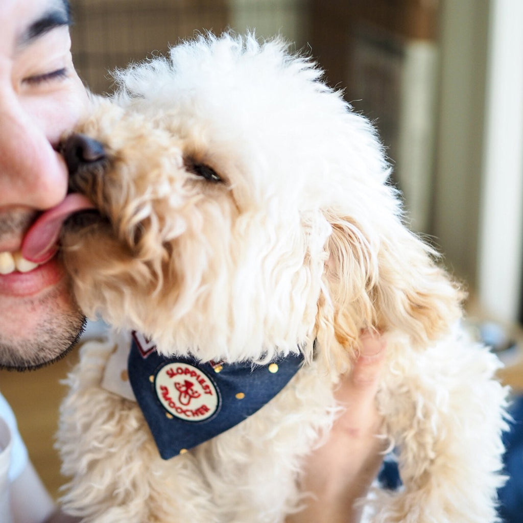 Scouts Honour Merit Badge - Sloppiest Smoocher