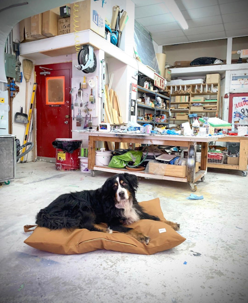 ONLINE ONLY: The Jobsite Bed by the Working Dog Co (Color Options)